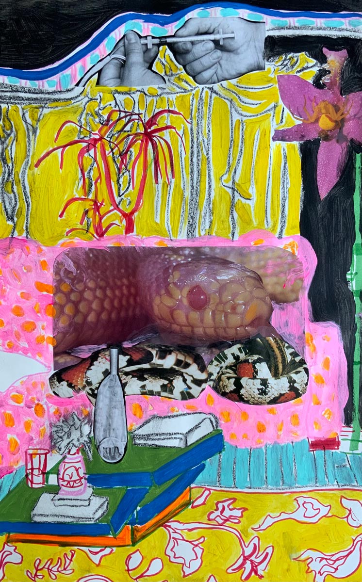 College by Janise Garcia