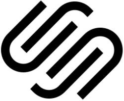 Webflow Icon